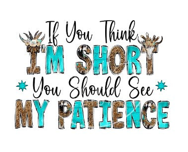 If You Think I’m Short You Should See My Patience decal